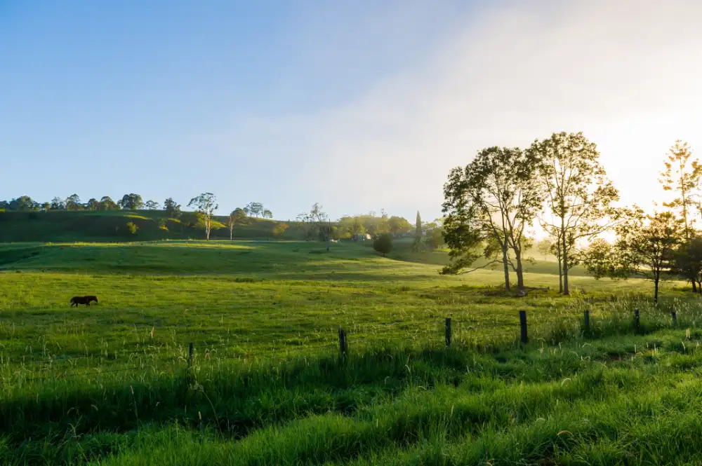 Northern NSW farm